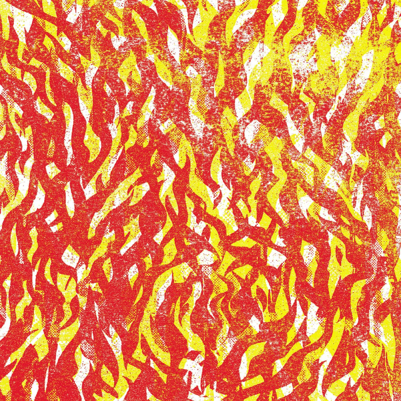 The Bug Fire (Indie Exclusive Red & Yellow Vinyl)