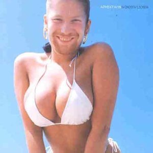 Aphex Twin WINDOWLICKER
