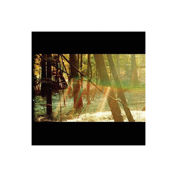 Childish Gambino - Camp (Black, 180 Gram Vinyl) (2 Lp's)