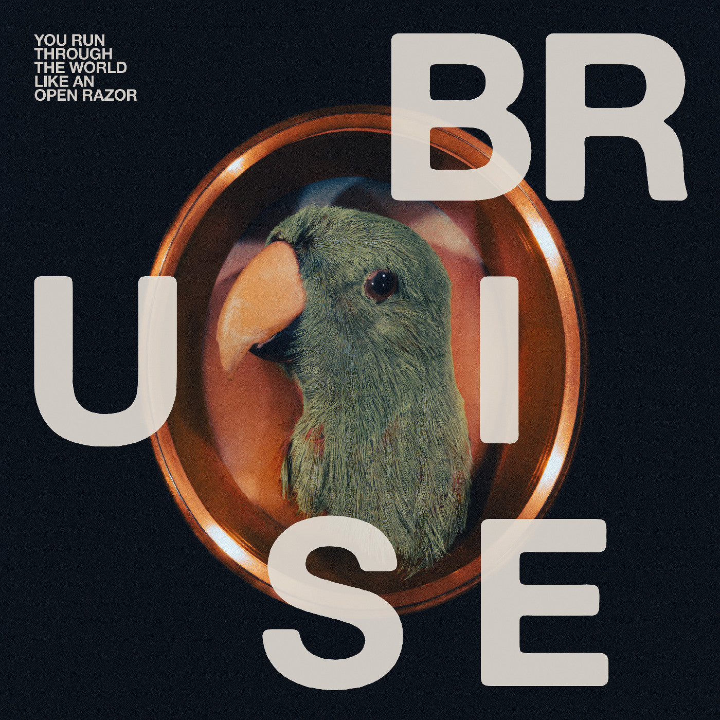 Bruise Blood You Run Through The World Like An Open Razor