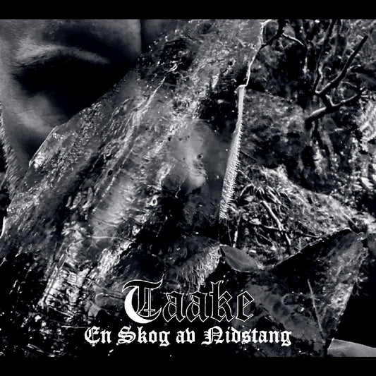 Taake En Skog Av Nidstang