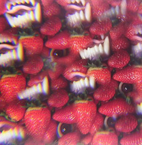 Thee Oh Sees Floating Coffin