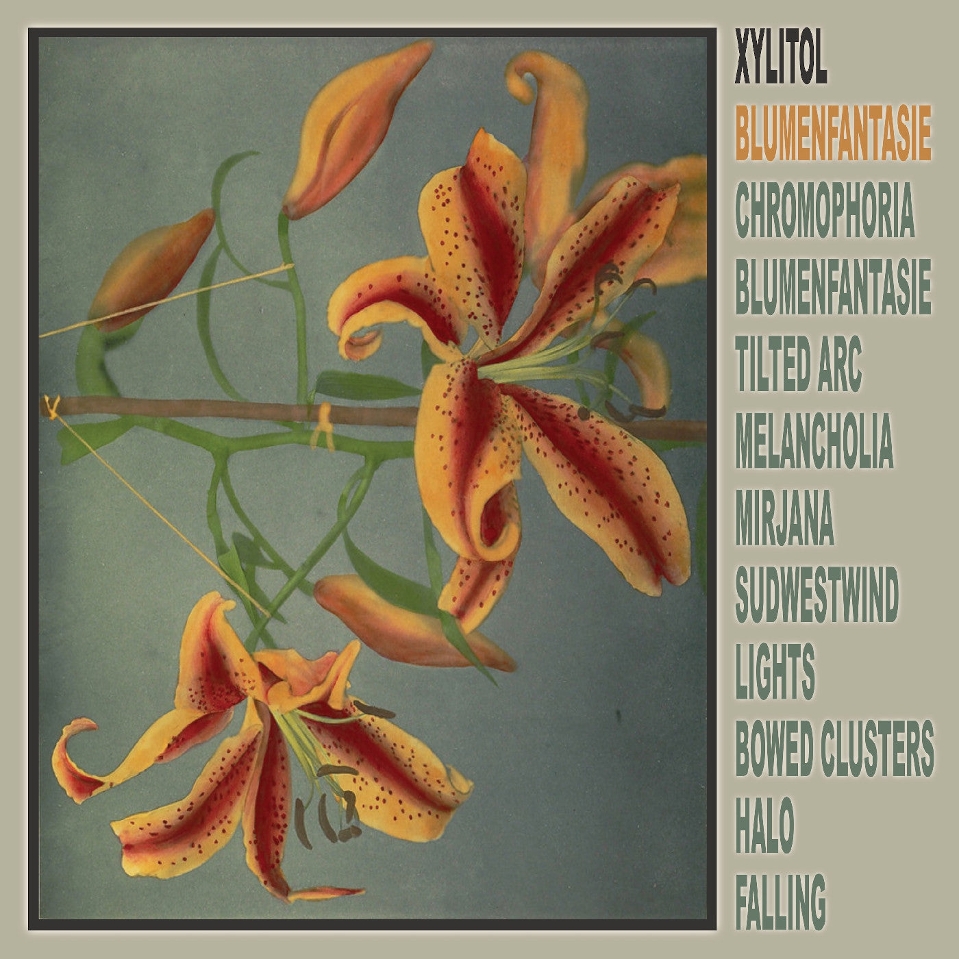 Xylitol Blumenfantasie