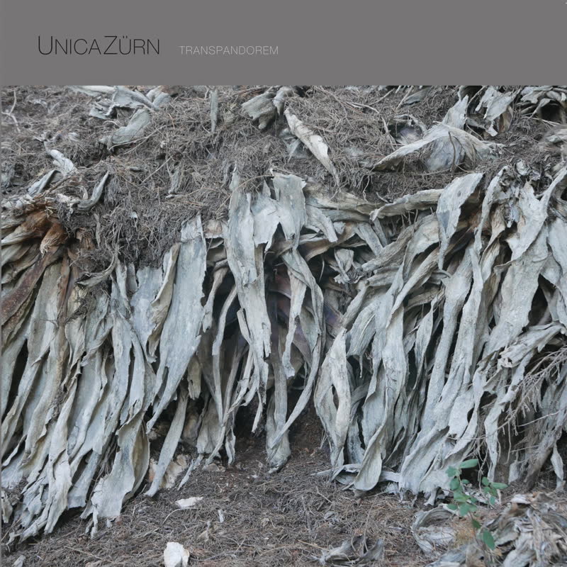 UnicaZurn- Transpandorem